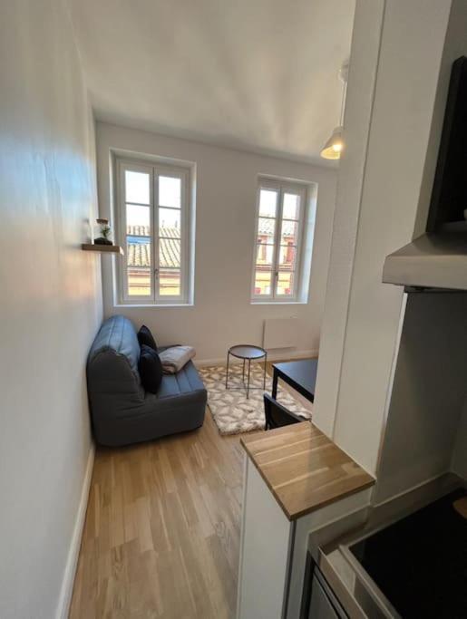 Le Studio Cygne Blanc Hypercentre Rue Riquet Toulouse Exterior foto